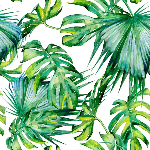 TAPETA ROLKA LIŚCIE MONSTERA 0,5x10m b-C-0261-j-a