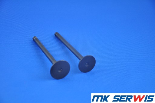 Zawór ssący głowicy silnika Mitsubishi K4E