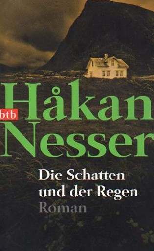 40902 Die Schatten und der Regen: Roman von Hakan