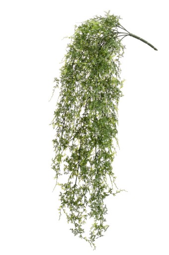sztuczna Paproć pnącze 80 cm pnącza pnące paprotka