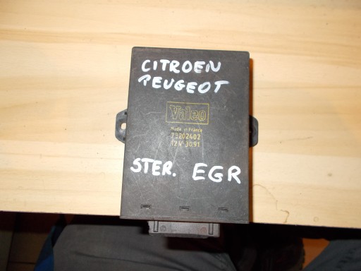 Moduł Sterownik CITROEN PEGEOT 73202402