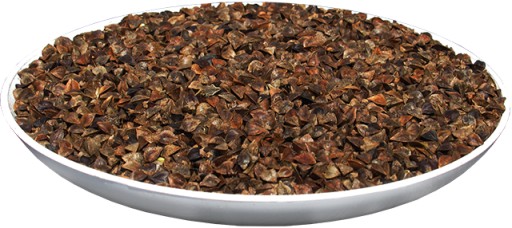 GRYKA PASZOWA 1KG CZYSTE NASIONA PASZA PASZOWE