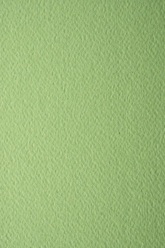 Papier Prisma 220g Pistacchio groszkowy 10A4