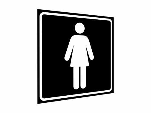 TOALETA MĘSKA DAMSKA TABLICZKA PIKTOGRAM WC ALU