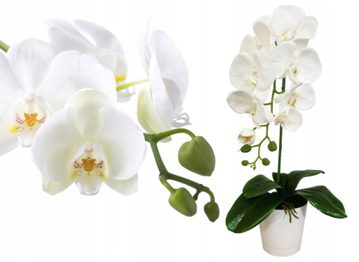 STORCZYK SZTUCZNY STORCZYKI KWIAT ORCHIDEA KWIATY