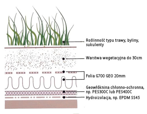 Folia 20 do dachów zielonych z geowłókniną 1x2m
