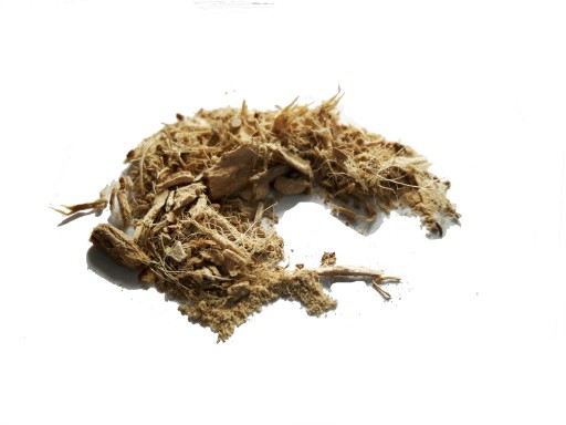 PRAWOŚLAZ korzeń suszony - 5kg - Zioła z Kurpii