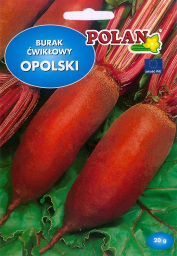 Burak ćwikłowy OPOLSKI 20g nasiona warzyw warzywa