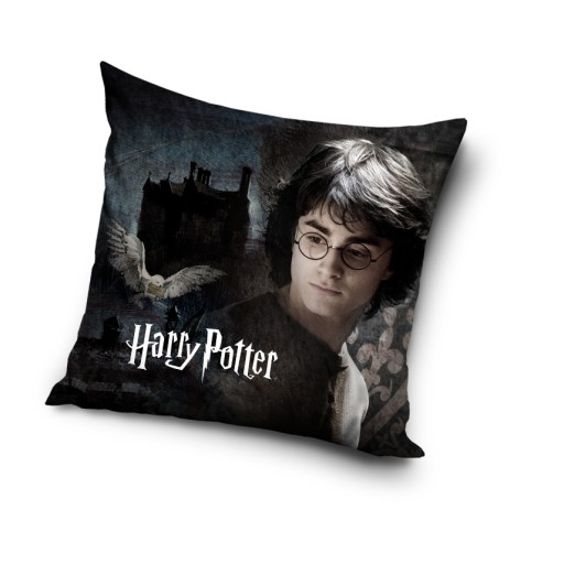 L136 HARRY POTTER POSZEWKA JASIEK HOGWART 40x40