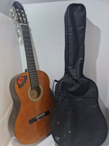 GITARA AKUSTYCZNA SHEFFELD IAN 365245 2101 + POKROWIEC