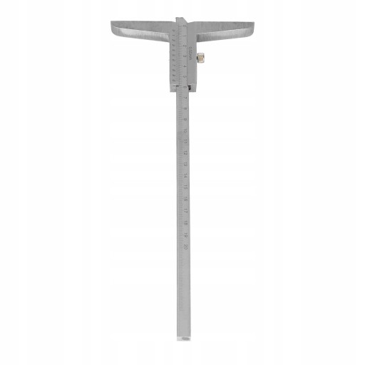 Głębokość Suwmiarka Metal Gauge 0,02 mm Mikrometr