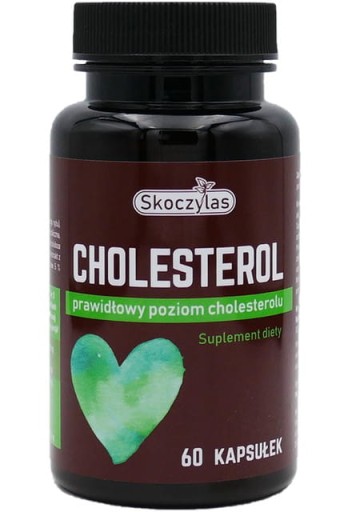 CHOLESTEROL 60KAPS PURELAB