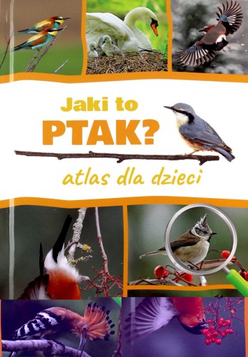 Jaki to ptak? Atlas dla dzieci Dominik Marchowski