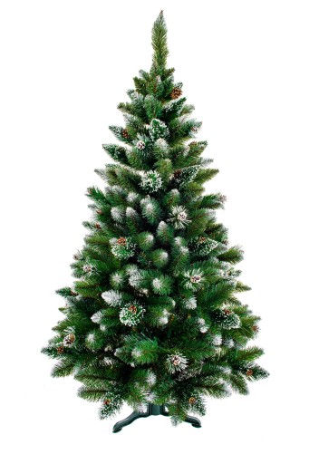 CHOINKA SOSNA DIAMENTOWA MONTANA 200CM