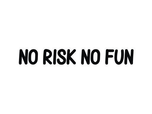 Naklejka NO RISK NO FUN na auto szybę *44cm *KOLORY