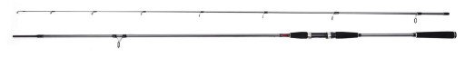 Daiwa Seahunter X Sea Trout 3,10m 10-40g 11533-312