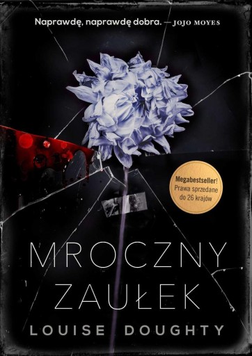 Mroczny zaułek Louise Doughty Opis