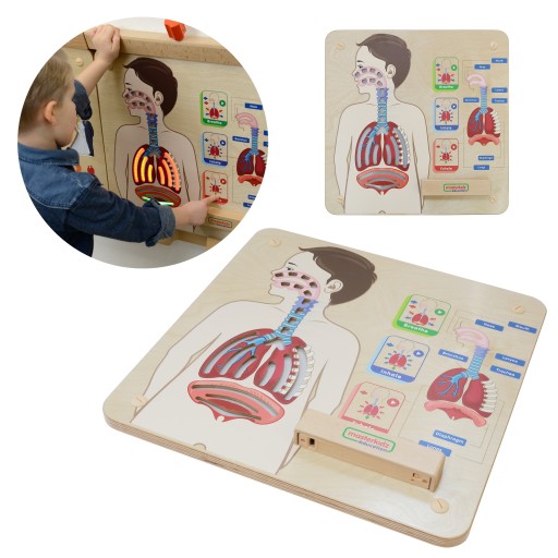 DREWNIANA TABLICA MANIPULACYJNA MONTESSORI MASTERKIDZ GRA UKŁAD ODDECHOWY