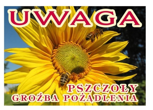 Tablica ostrzegawcza Groźba pożądleni 42x29,5 F206