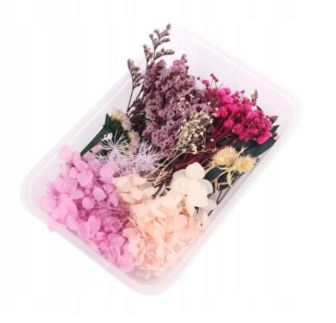 Naturalne Suszone Kwiaty Prasowane - Styl 2