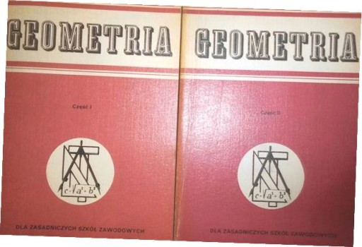 Geometria. Cz. 1,2 - Bryński