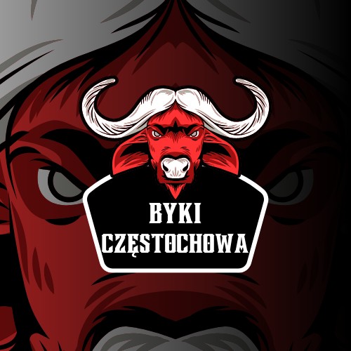 Projekt LOGO/ LOGOTYP / LOGO FIRMY / PROJEKTOWANIE