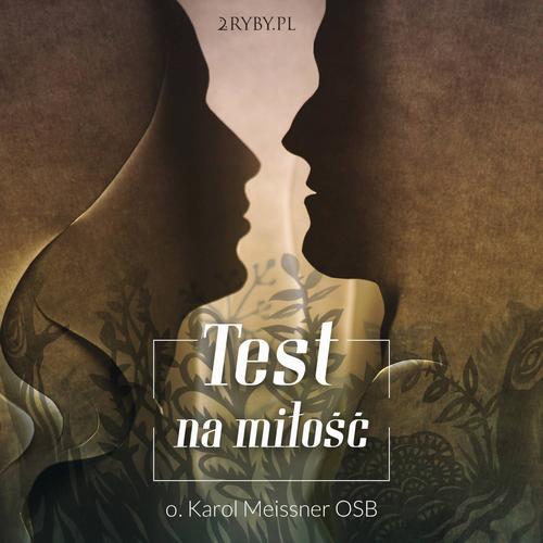 TEST NA MIŁOŚĆ KAROL W. MEISSNER AUDIOBOOK