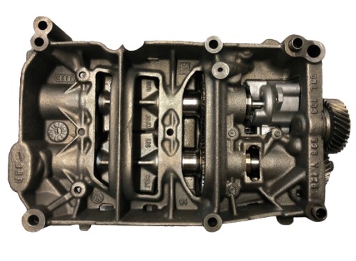 Pompa Oleju 2.0 TDI A4 A6 Q5 Passat B6 WAŁEK 100mm