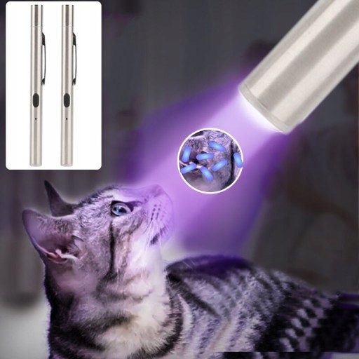 Stainless Steel Mini Pocket Lamp Led UV Flashlight