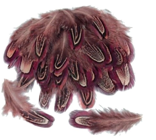 Pióra bażanta migdałowego 5-8 cm PINK 10 szt