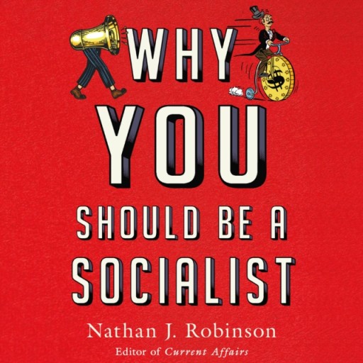 Why You Should Be a Socialist AUDIOBOOK