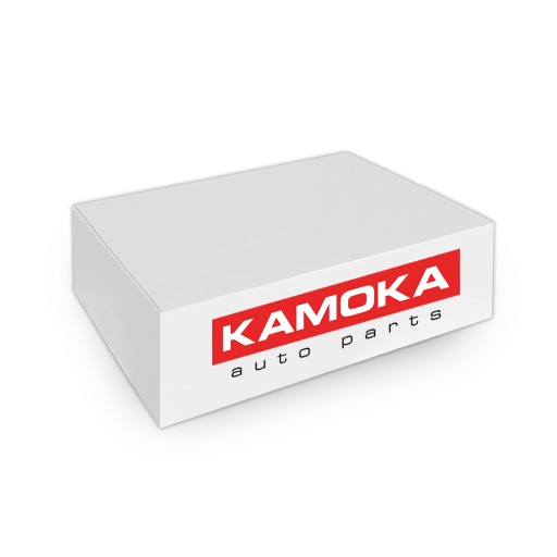 FILTR CZĄSTEK STAŁYCH DPF 8010001 KAMOKA