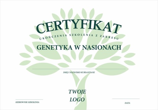 Certyfikat Dyplom - druk od 1 szt.