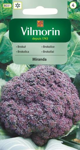 Brokuł fioletowy Miranda średnio późny - nasiona