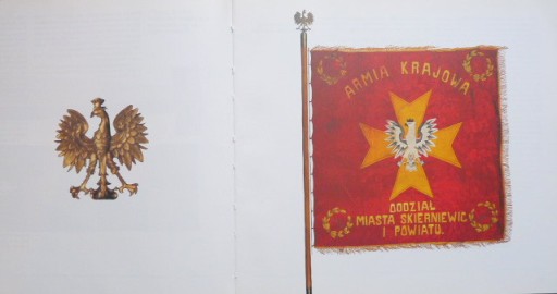 BOJOWE SZTANDARY I PROPORCE ARMII KRAJOWEJ