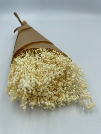 Naturalne suszone kwiaty Żarnowiec BIELONY (Broom broom), naturalny susz