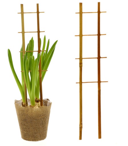 DRABINKA BAMBUSOWA PODPORA PERGOLA ROŚLINY 37 cm