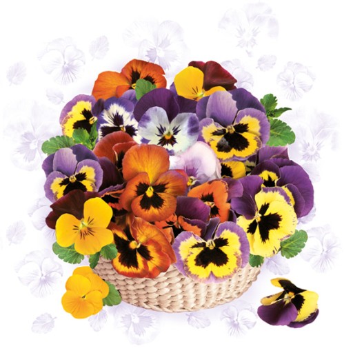 DAISY SERWETKI WIOSNA KOLOROWE BRATKI 33X33 CM SDWI 007901 20 SZTUK