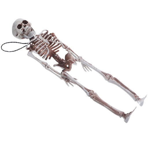 MANEKIN SZTUCZNY SZKIELET ORNAMENT DEKORACJA HALLOWEEN MODEL