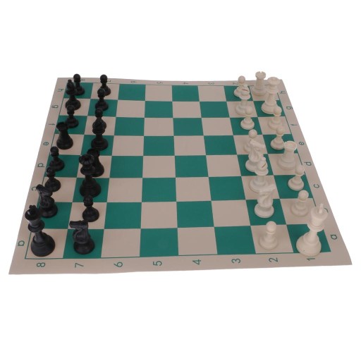 Portable Travel Chess Set Roll in Tube Shaped Box
