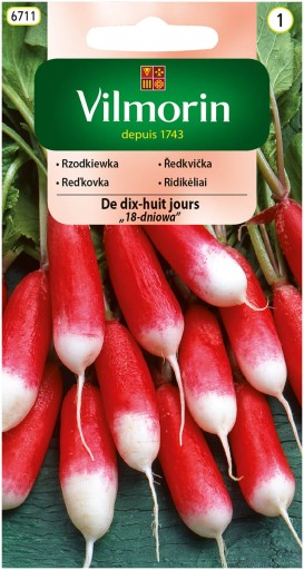 Rzodkiewka De dix-huit jours 18-dniowa VILMORIN