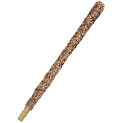 PALIK KOKOSOWY 60cm GRUBY - tyczka kokosowo-bambusowa, podpora do pnączy