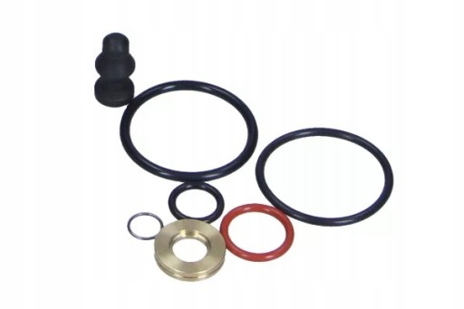 Maxgear 70-0155 Zestaw naprawczy, pompowtryskiwacz