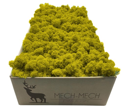 Mech Chrobotek Fiński 500g