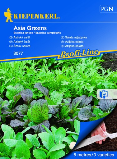 Sałata Azjatycka Asia Greens nasiona – Kiepenkerl