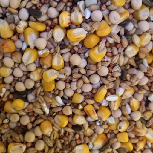 Pasza karma dla gołębi SEZONOWA 25kg ekonomiczna