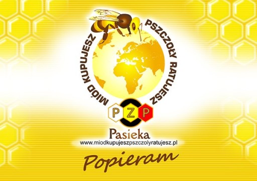 Średnia tablica reklamowa - wzór F227