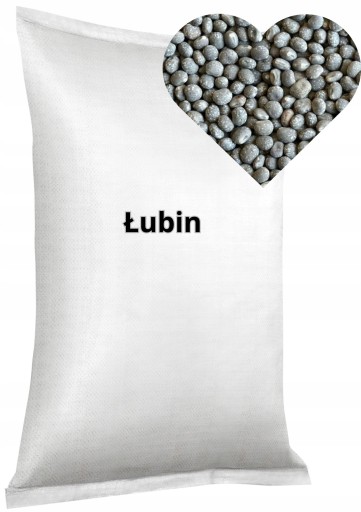 Łubin POLPLON WĄSKOLISTNY 1Kg