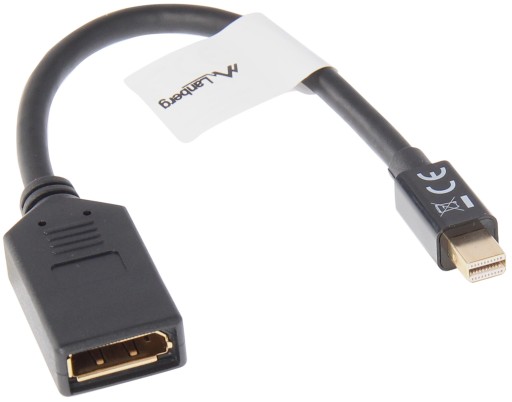 ADAPTER mini DisplayPort do DisplayPort miniDP DP