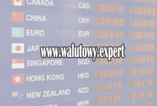 Domena Internetowa WWW.WALUTOWY.EXPERT